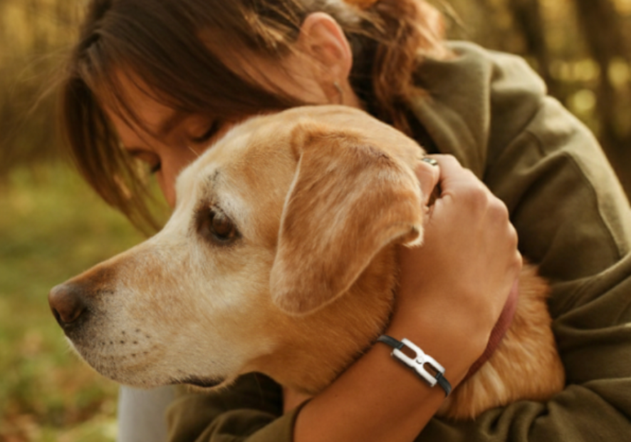 Bijou souvenir personnalisé pour animaux - Pendentif et bracelet commémoratif Alhiage avec compartiment secret pour mèche de poils